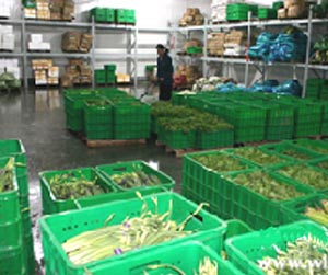 塑料周轉筐能用多少年？